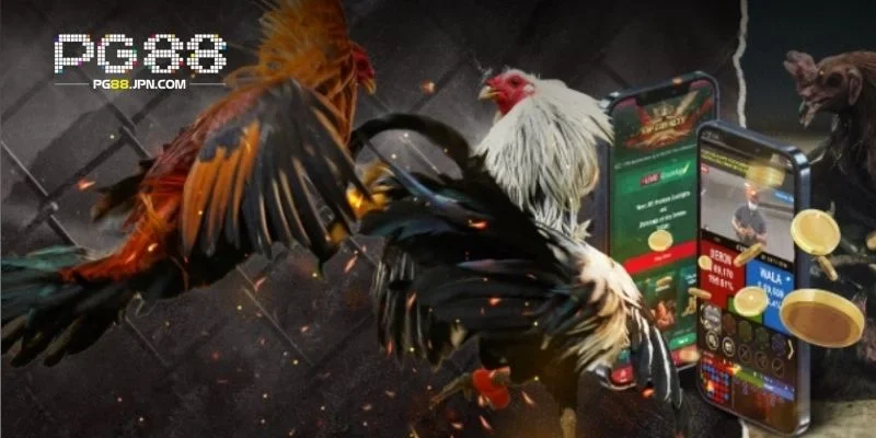 Không gian thi đấu sôi động mang đến trải nghiệm trọn vẹn